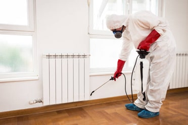 Pest Control Services in Juhu