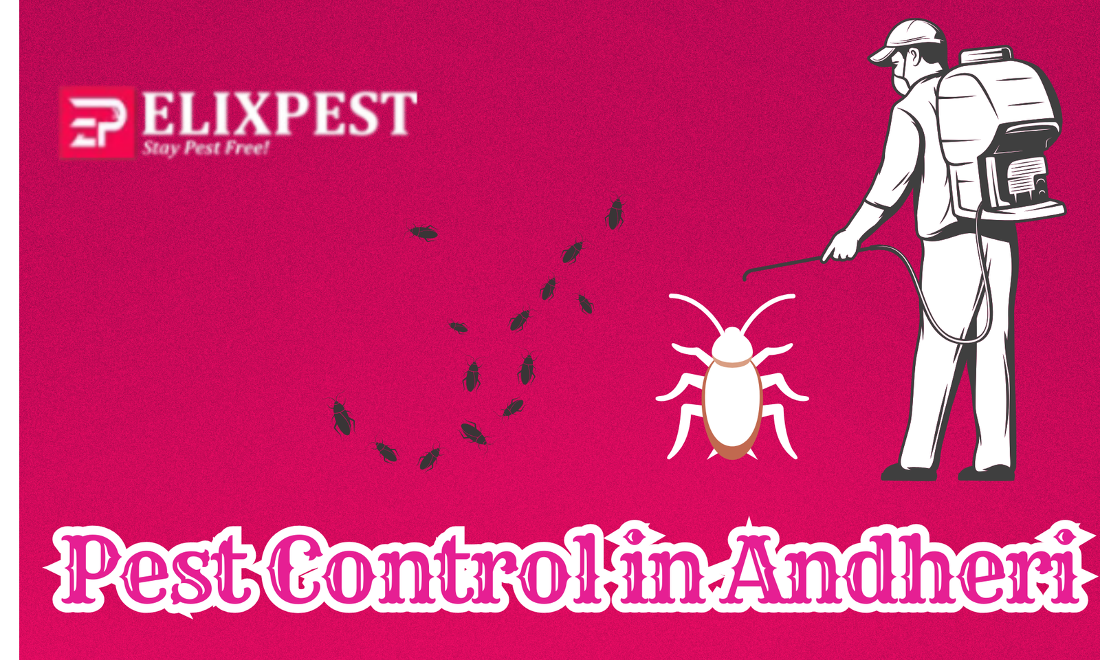 Pest Control In Andheri