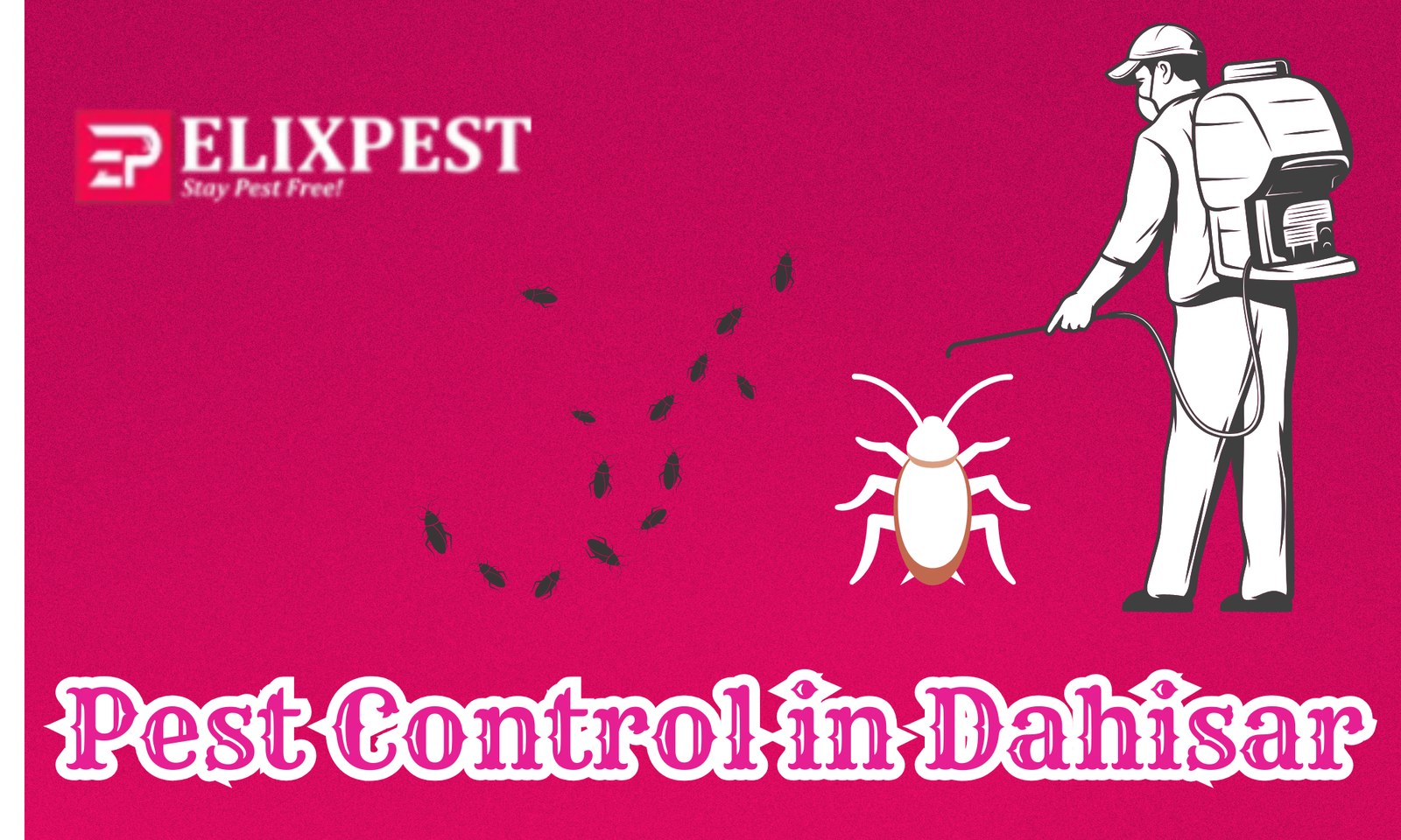 Pest Control in Dahisar