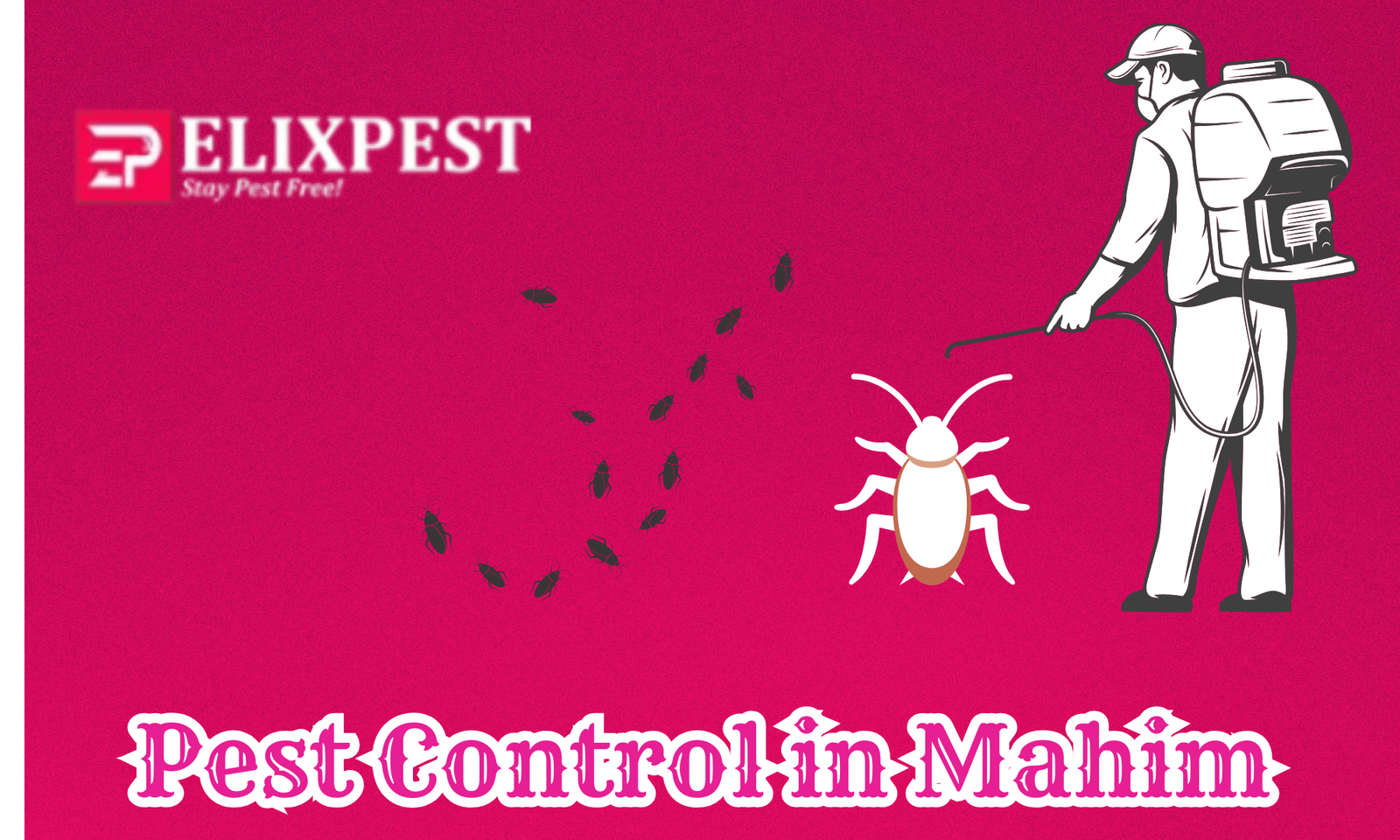 Pest Control in Mahim