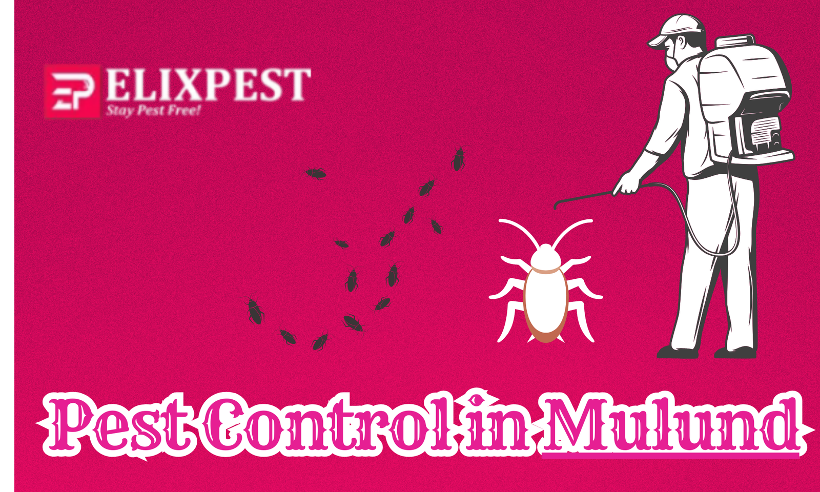 Pest Control In Mulund