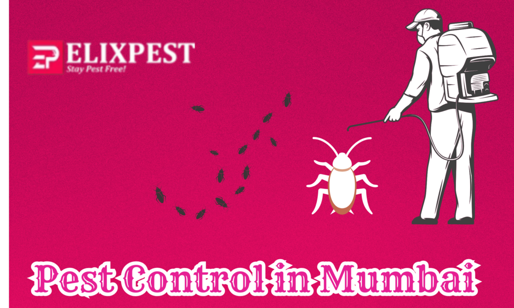 Pest Control In Mumbai Pest Control In Mumbai