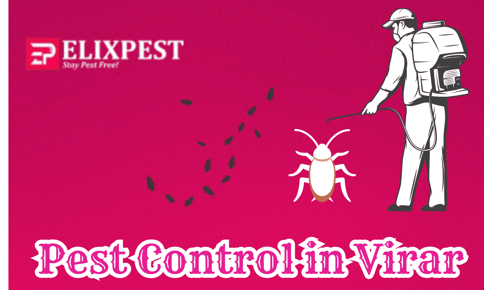 Pest Control in Virar