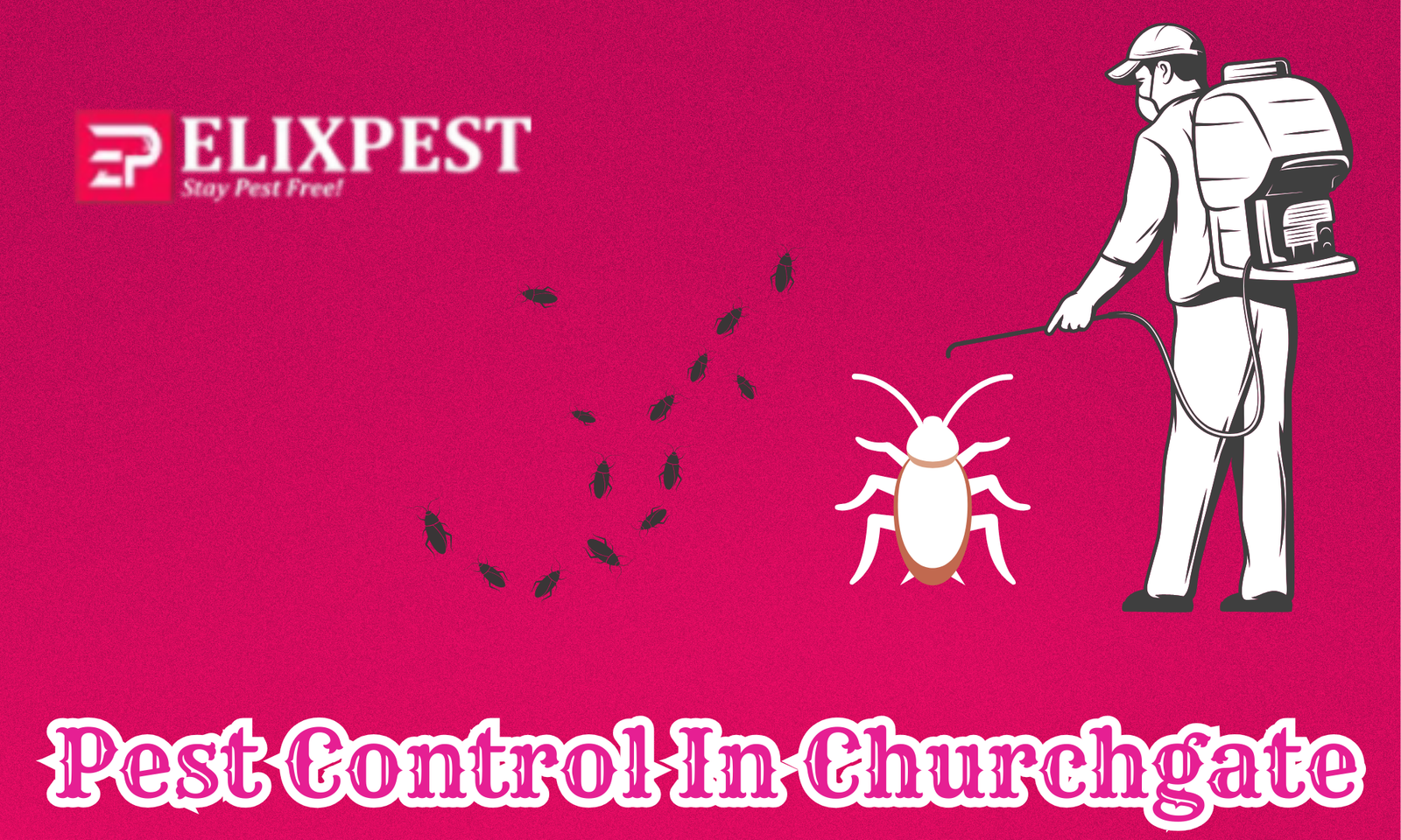 Pest Control In Churchgate