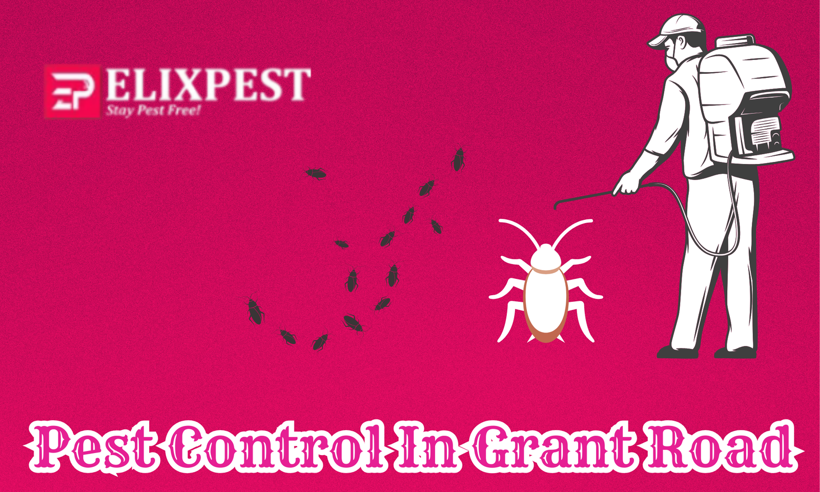 Pest Control In Grant Road