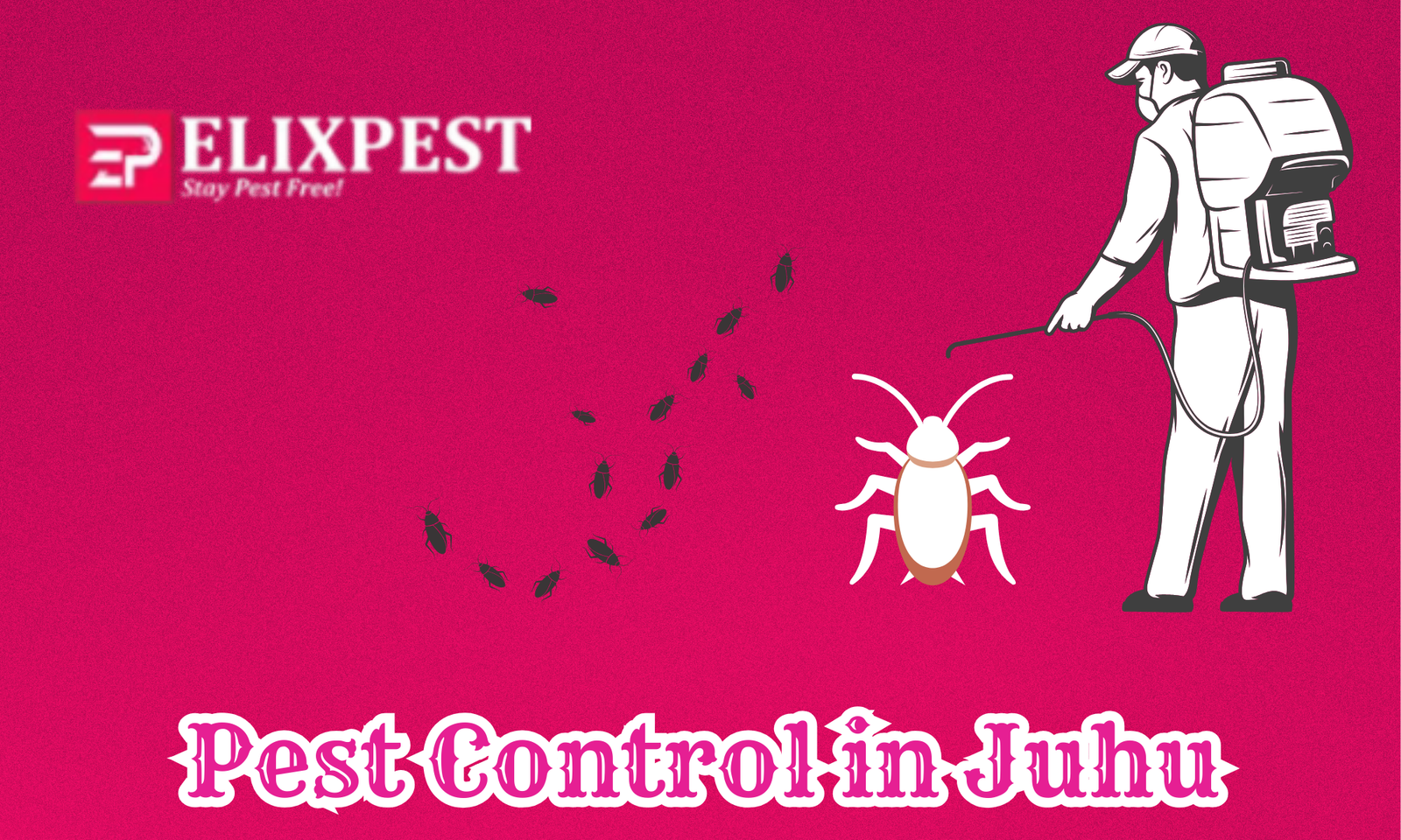 Pest Control In Juhu