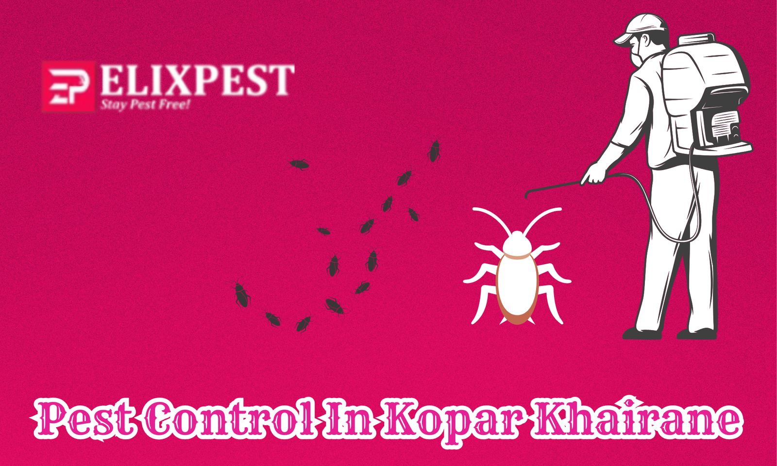 Pest Control In Kopar Khairane