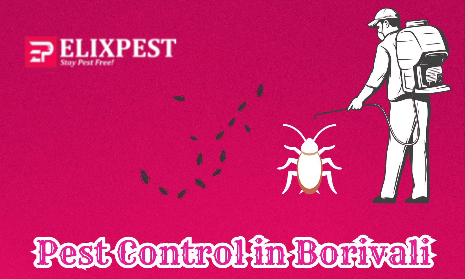 Pest Control in Borivali