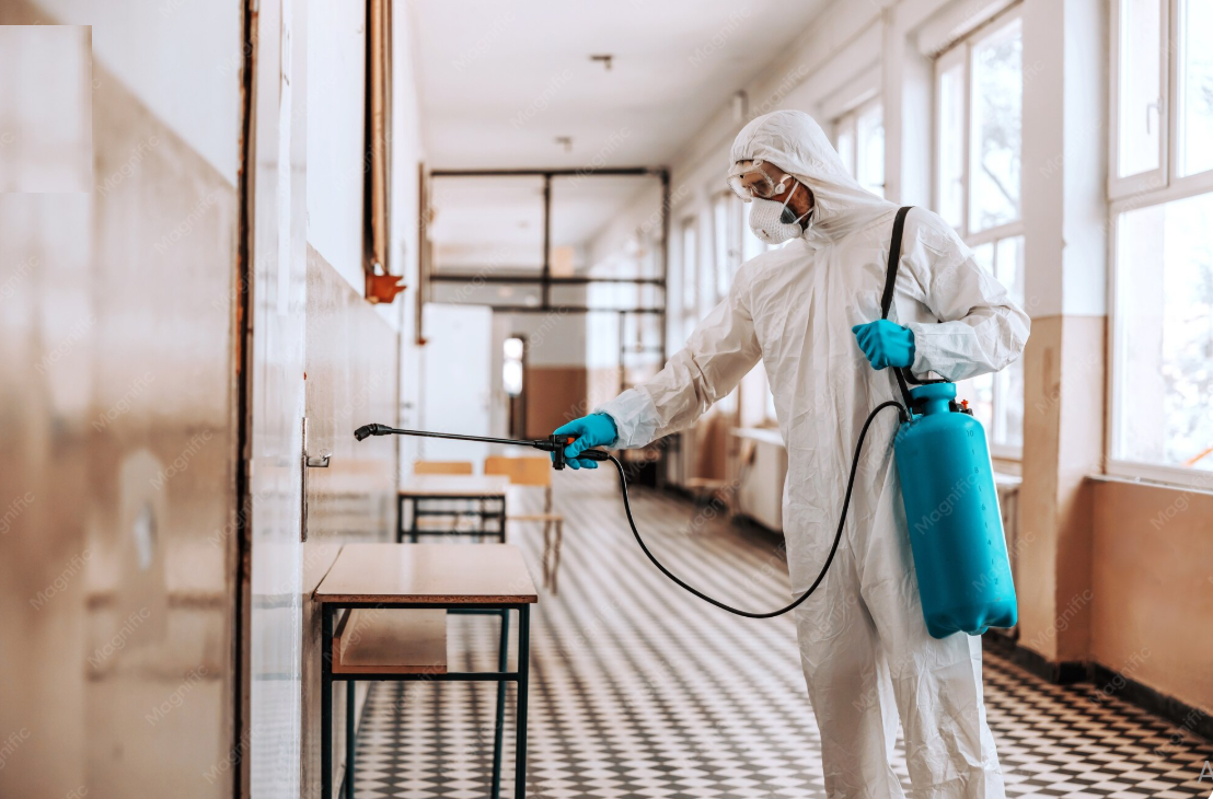 Expert Pest Management Solutions