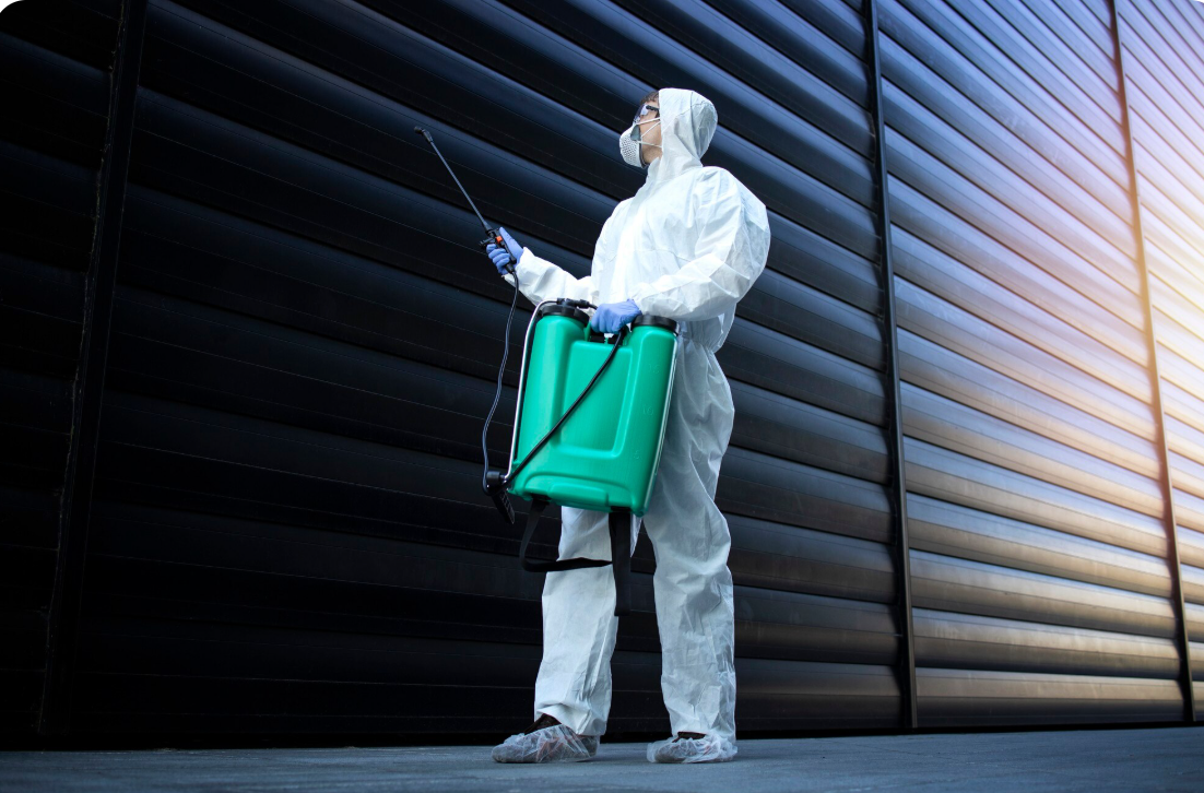 Hire Pest Control Service in Mumbai