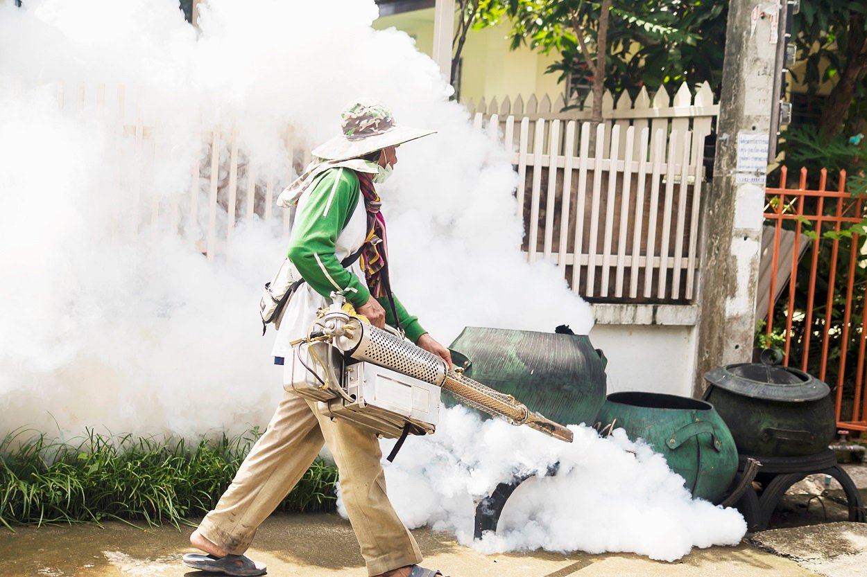 Monsoon Pest Control