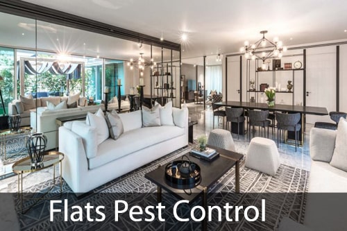 Flats Pest Control Mumbai