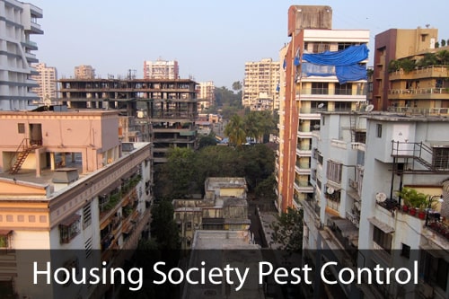 Housing Society Pest Control Mumbai
