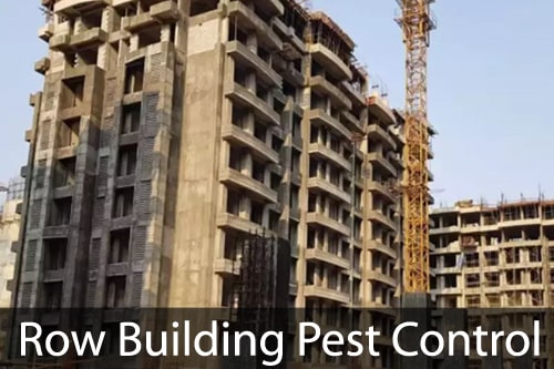 Row Building Pest Control Navi Mumbai
